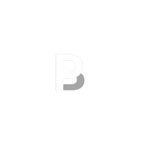 Burpi